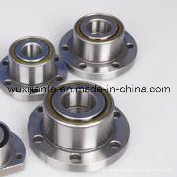 Deep Groove Ball Bearing with Housing